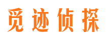 江洲市婚姻调查